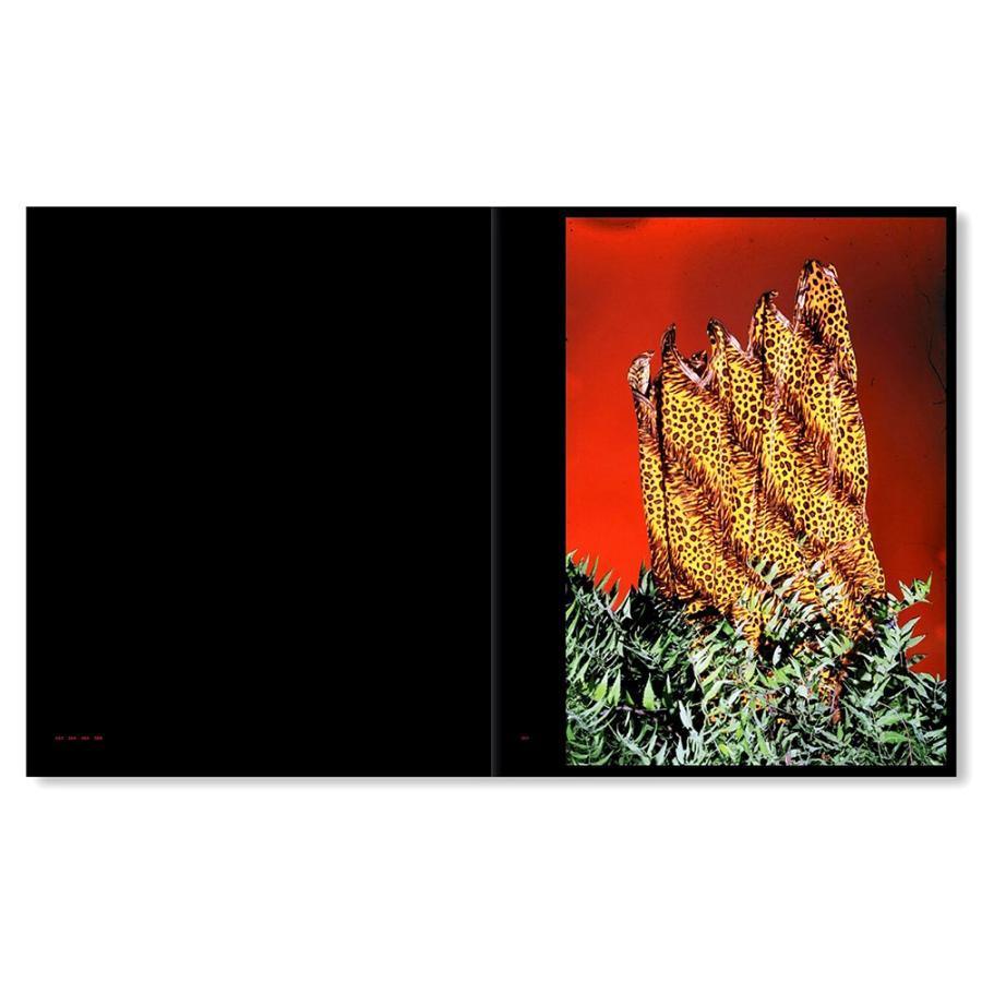 【サイン入】AFTERLIFE ヴァサンカ・ヨガナンタ　作品集