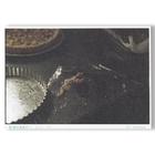 【special edition】Mada Nokosu Kaj...　人気商品