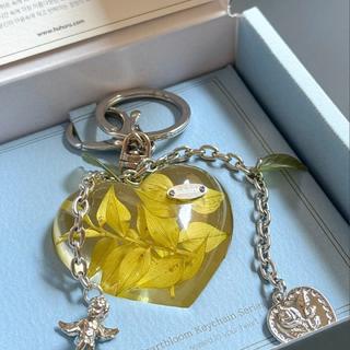 【蔦屋書店感謝祭_202602】huhuru グリーンルスカス