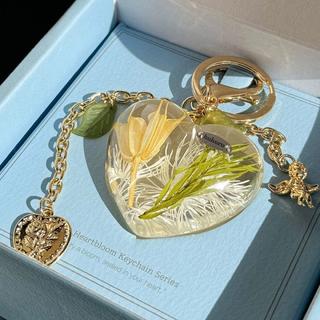 【蔦屋書店感謝祭_202602】huhuru フェアリーテイル