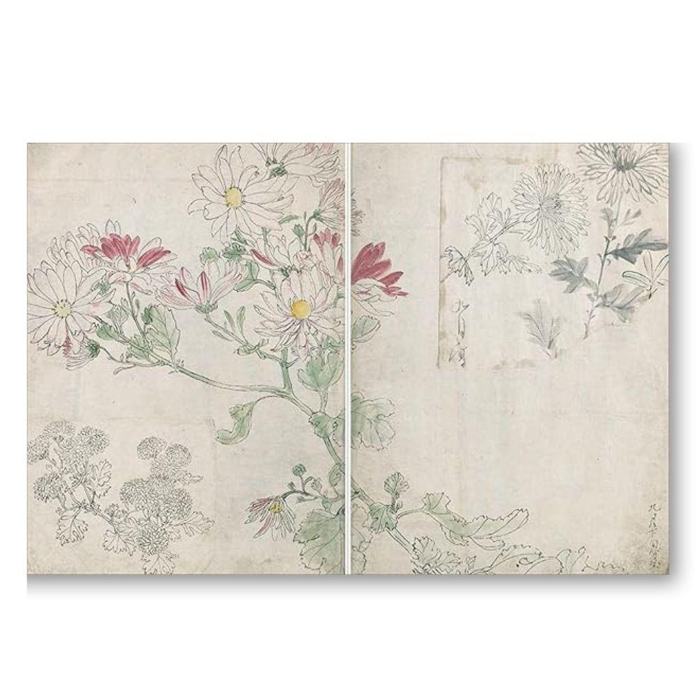 柴田是正の植物図