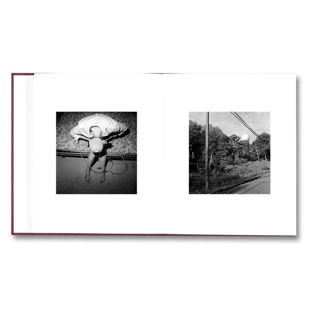 【予約】VISCIN ※2026年4月中旬頃発送予定