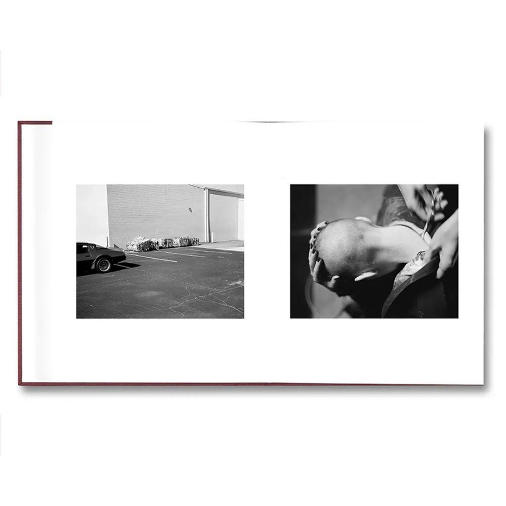 【予約】VISCIN ※2026年4月中旬頃発送予定