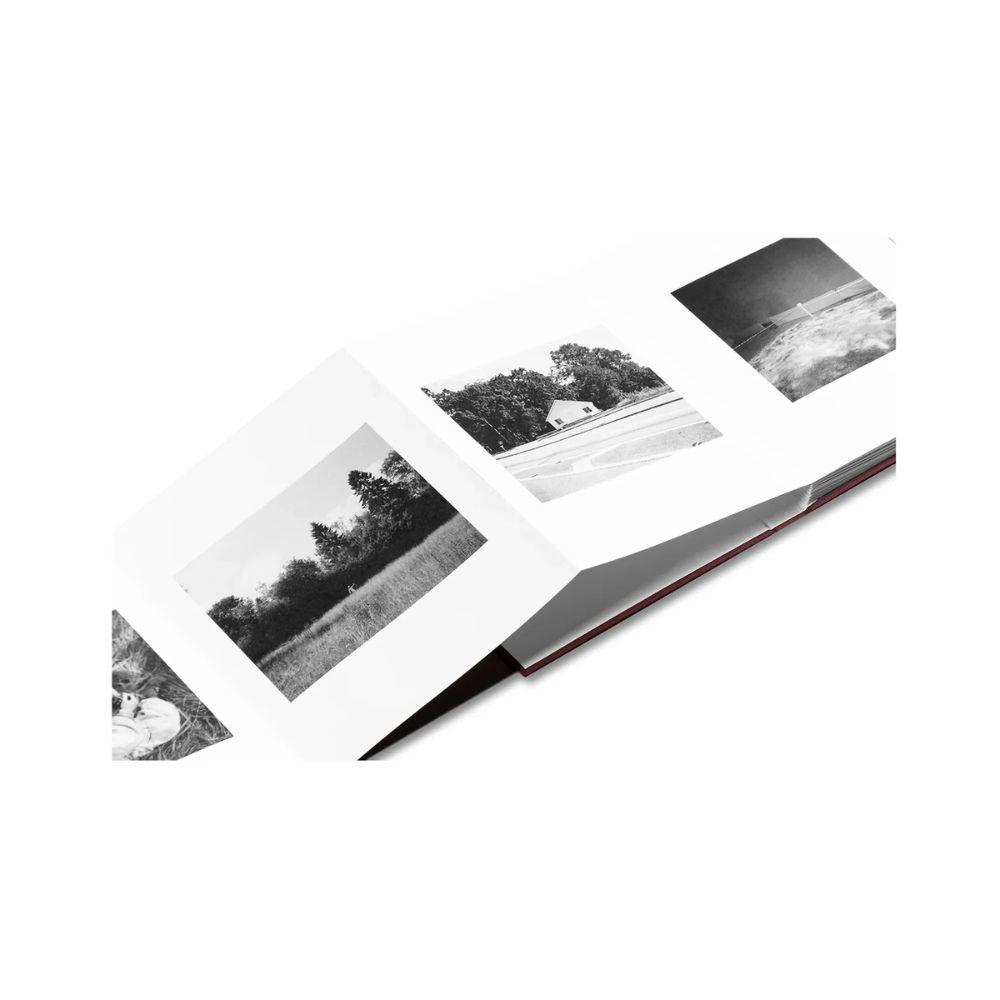 【予約】VISCIN ※2026年4月中旬頃発送予定