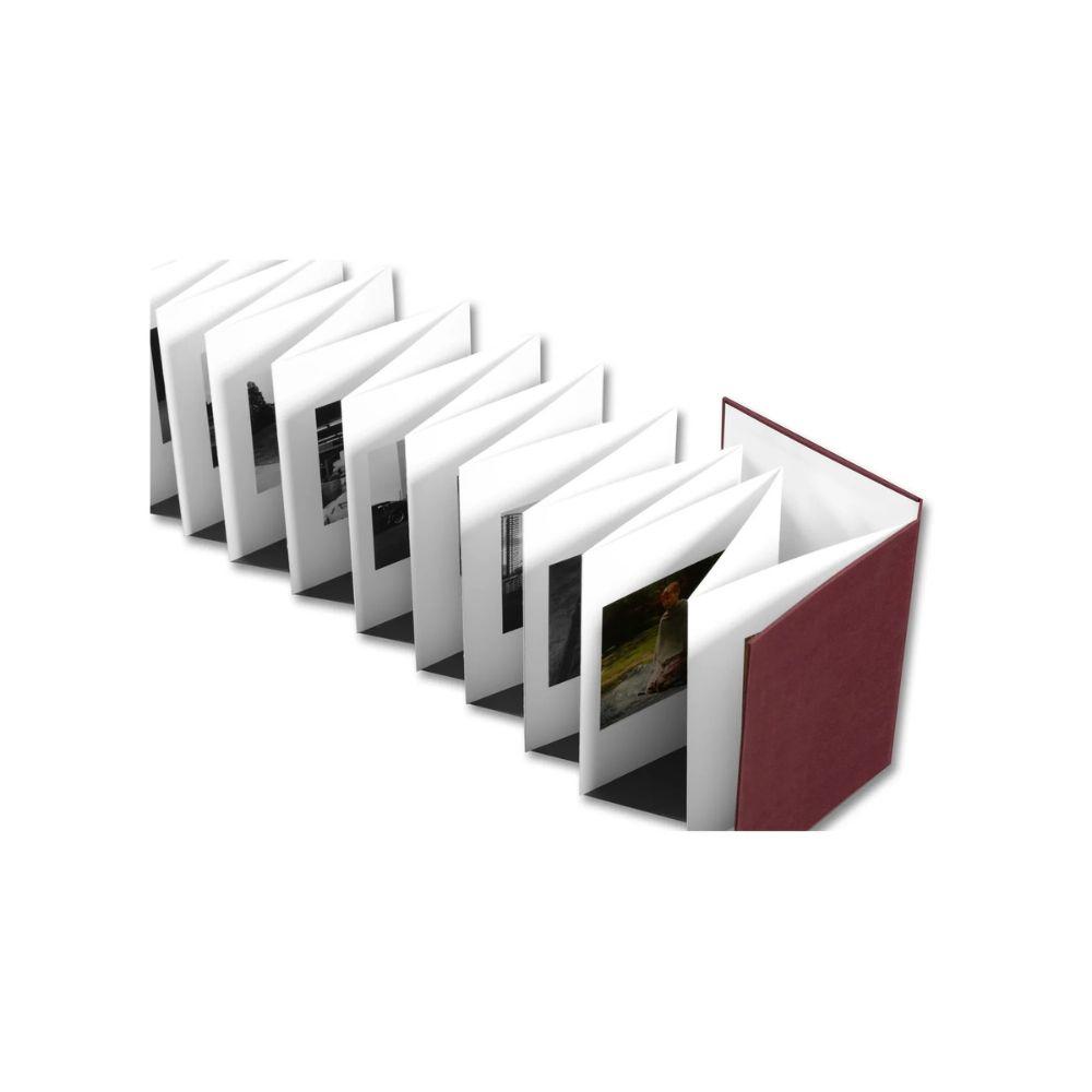 【予約】VISCIN ※2026年4月中旬頃発送予定