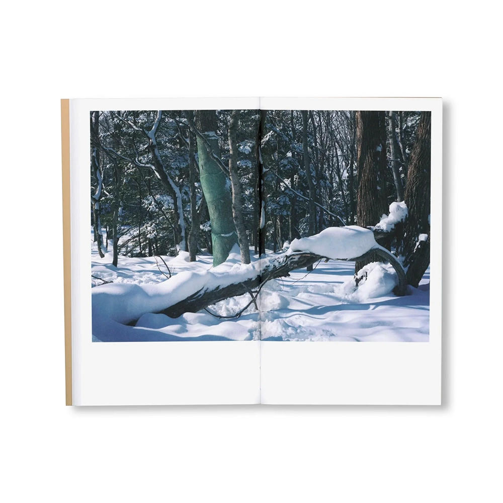 BTS by Takashi Homma （ホンマタカシ） 写真集