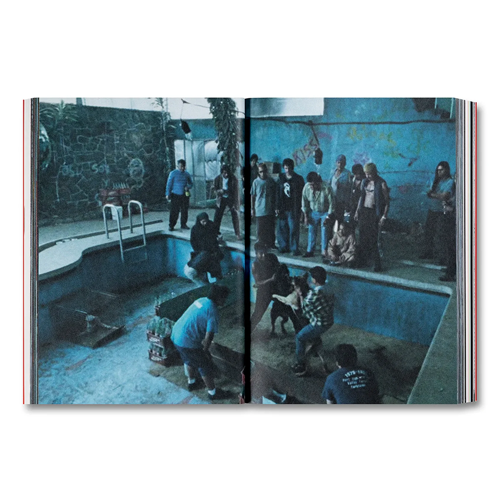 AMORES PERROS by Alejandro G. Inarritu（アレハンドロ・ゴンサレス・イニャリトゥ） 作品集