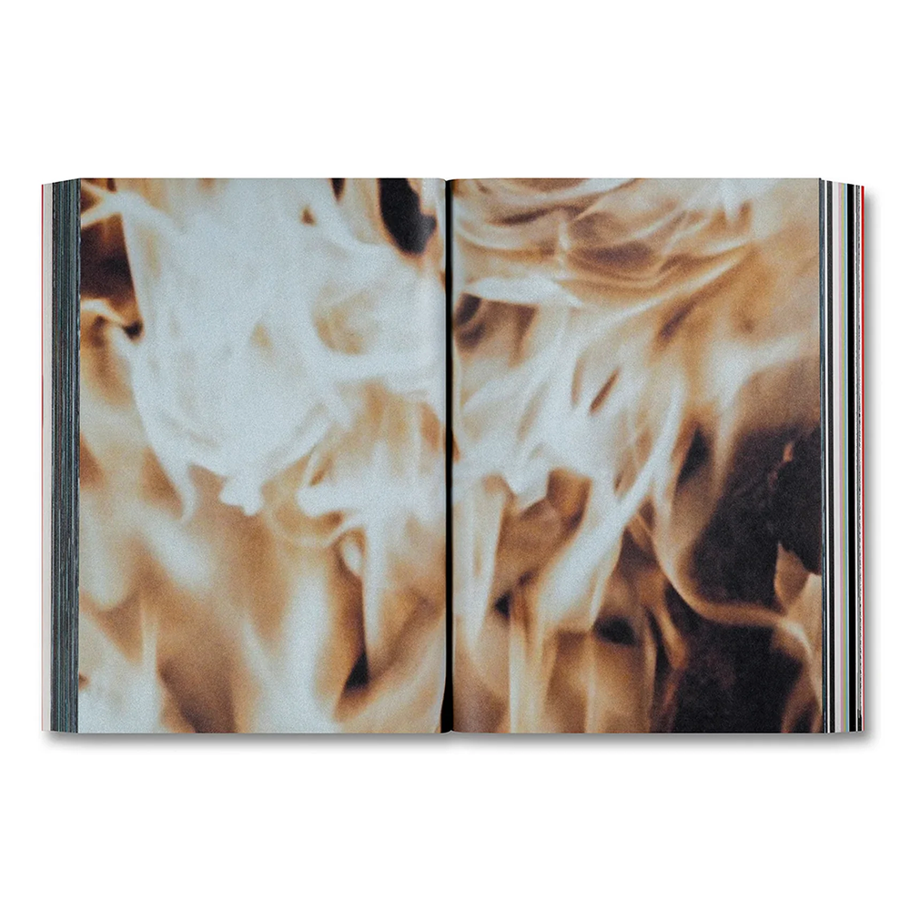 AMORES PERROS by Alejandro G. Inarritu（アレハンドロ・ゴンサレス・イニャリトゥ） 作品集