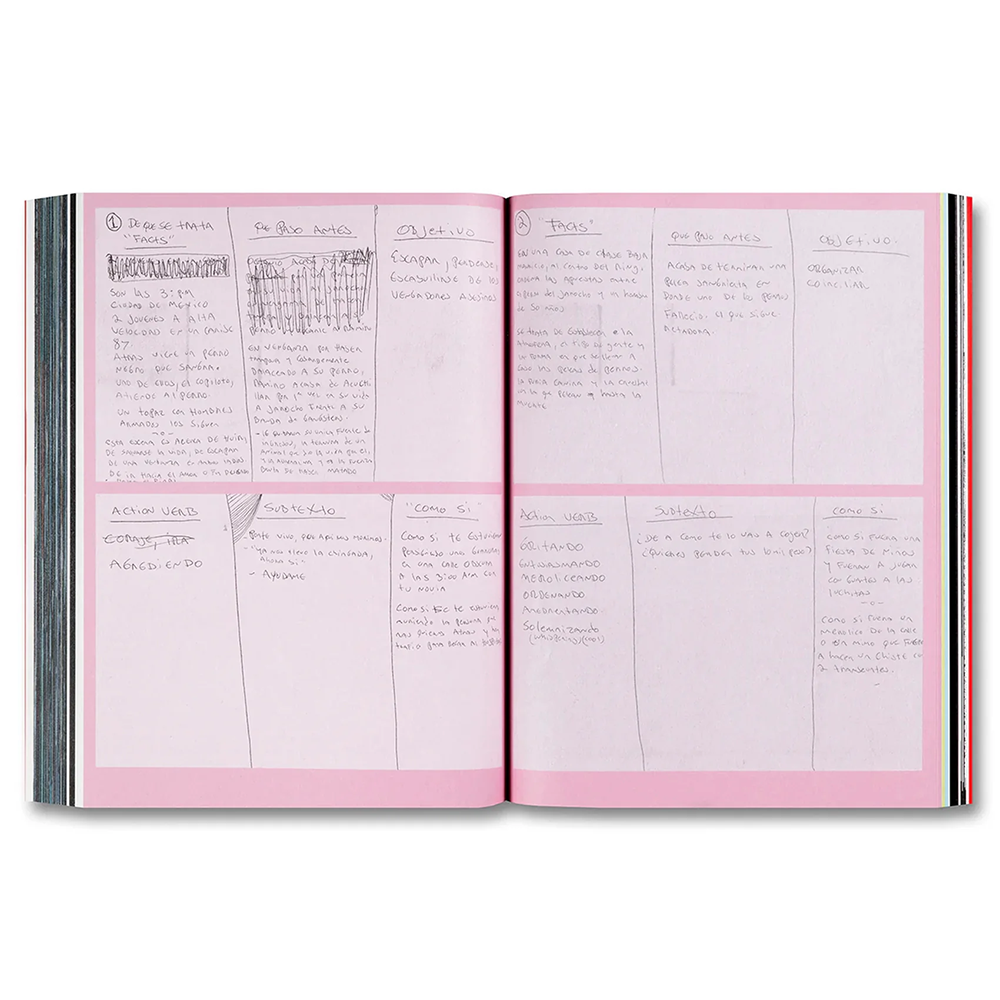 AMORES PERROS by Alejandro G. Inarritu（アレハンドロ・ゴンサレス・イニャリトゥ） 作品集