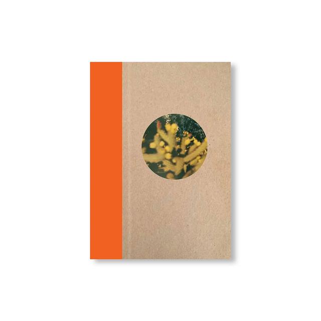 【予約／サイン入りプリント付き】ONE PICTURE BOOK TWO #51: DESERT DAZE by Yoko Ikeda（池田葉子） 写真集　※3月上旬入荷予定