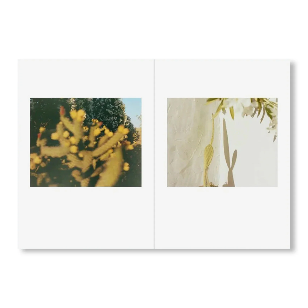 【予約／サイン入りプリント付き】ONE PICTURE BOOK TWO #51: DESERT DAZE by Yoko Ikeda（池田葉子） 写真集　※3月上旬入荷予定