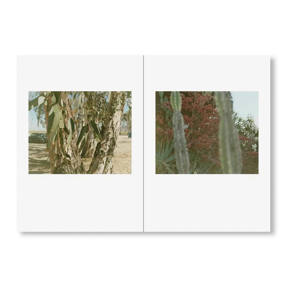 【予約／サイン入りプリント付き】ONE PICTURE BOOK TWO #51: DESERT DAZE by Yoko Ikeda（池田葉子） 写真集　※3月上旬入荷予定