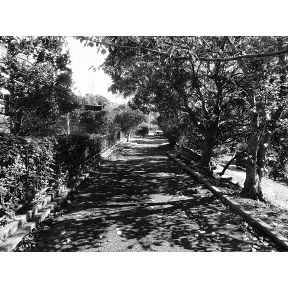 【サイン入り】記録62号 森山大道 写真集