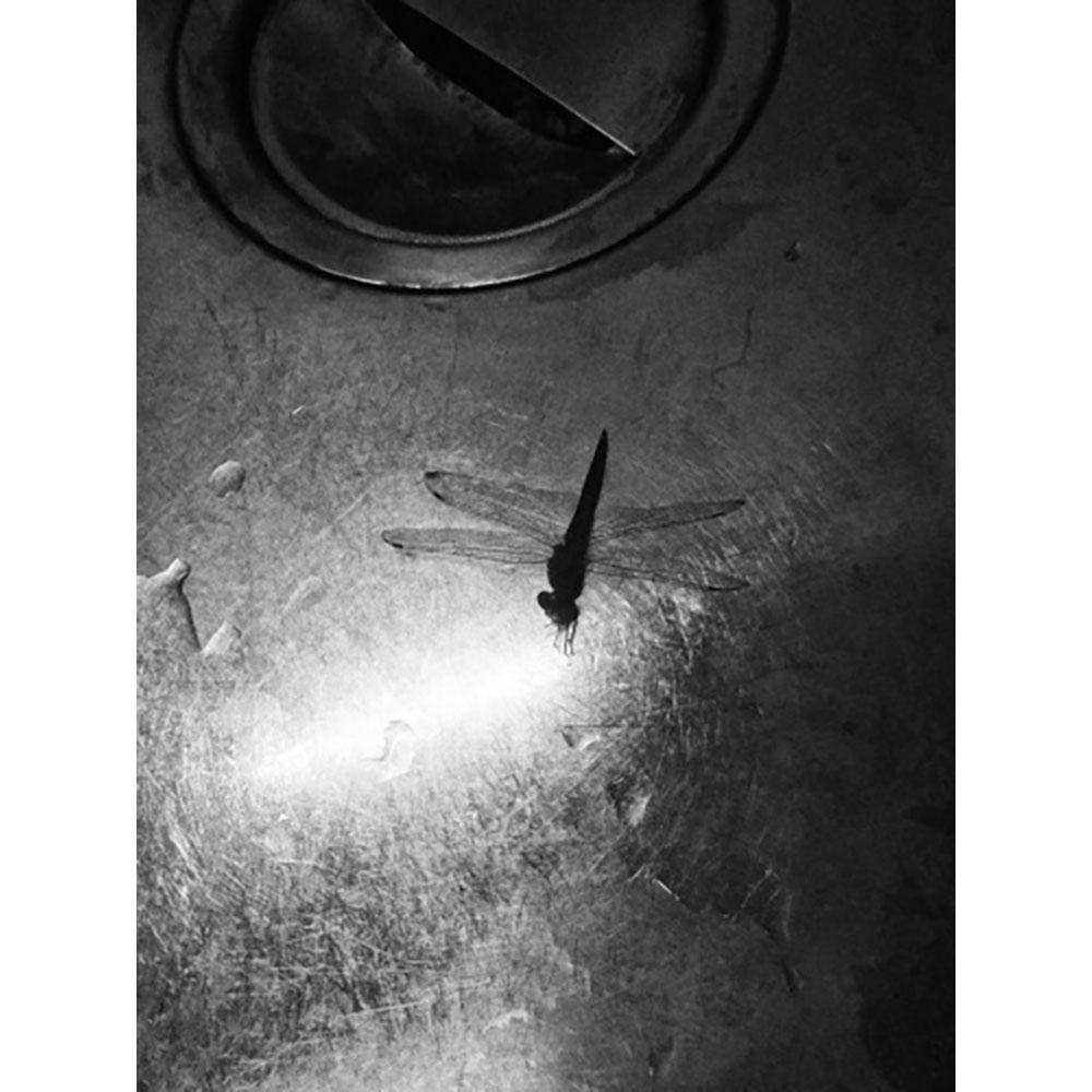 【サイン入り】記録62号 森山大道 写真集