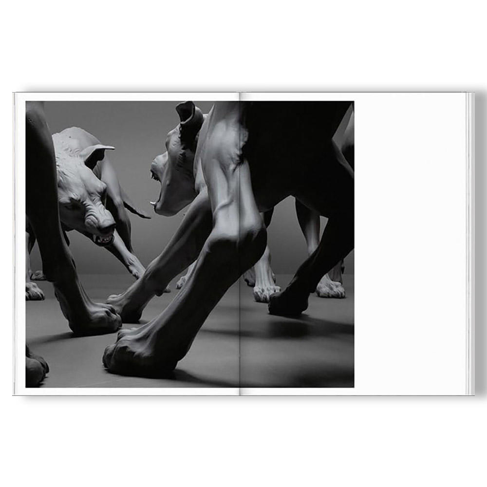 Ron Mueck: Encounter ロン・ミュエク 個展カタログ 作品集