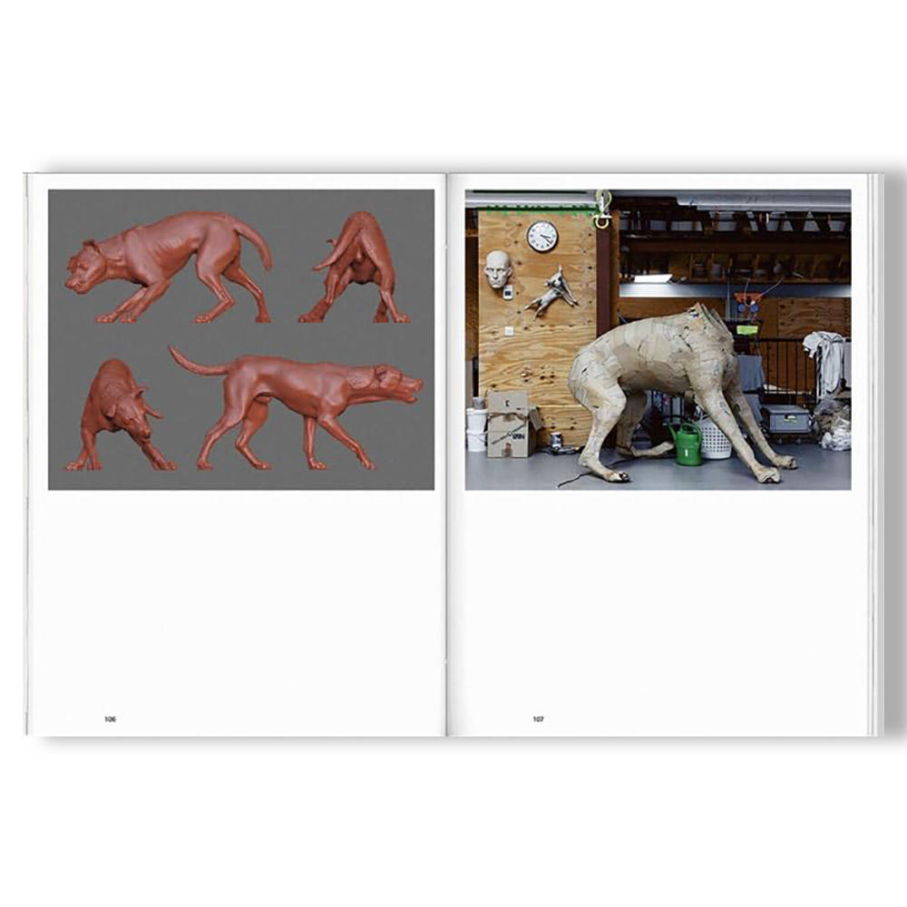 Ron Mueck: Encounter ロン・ミュエク 個展カタログ 作品集