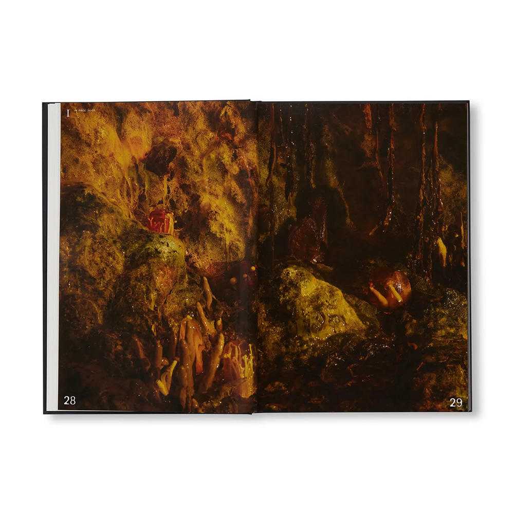 【A24】HORROR CAVIAR: A COOKBOOK by Justin J Wee　 ジャスティン・J・ウィー  作品集