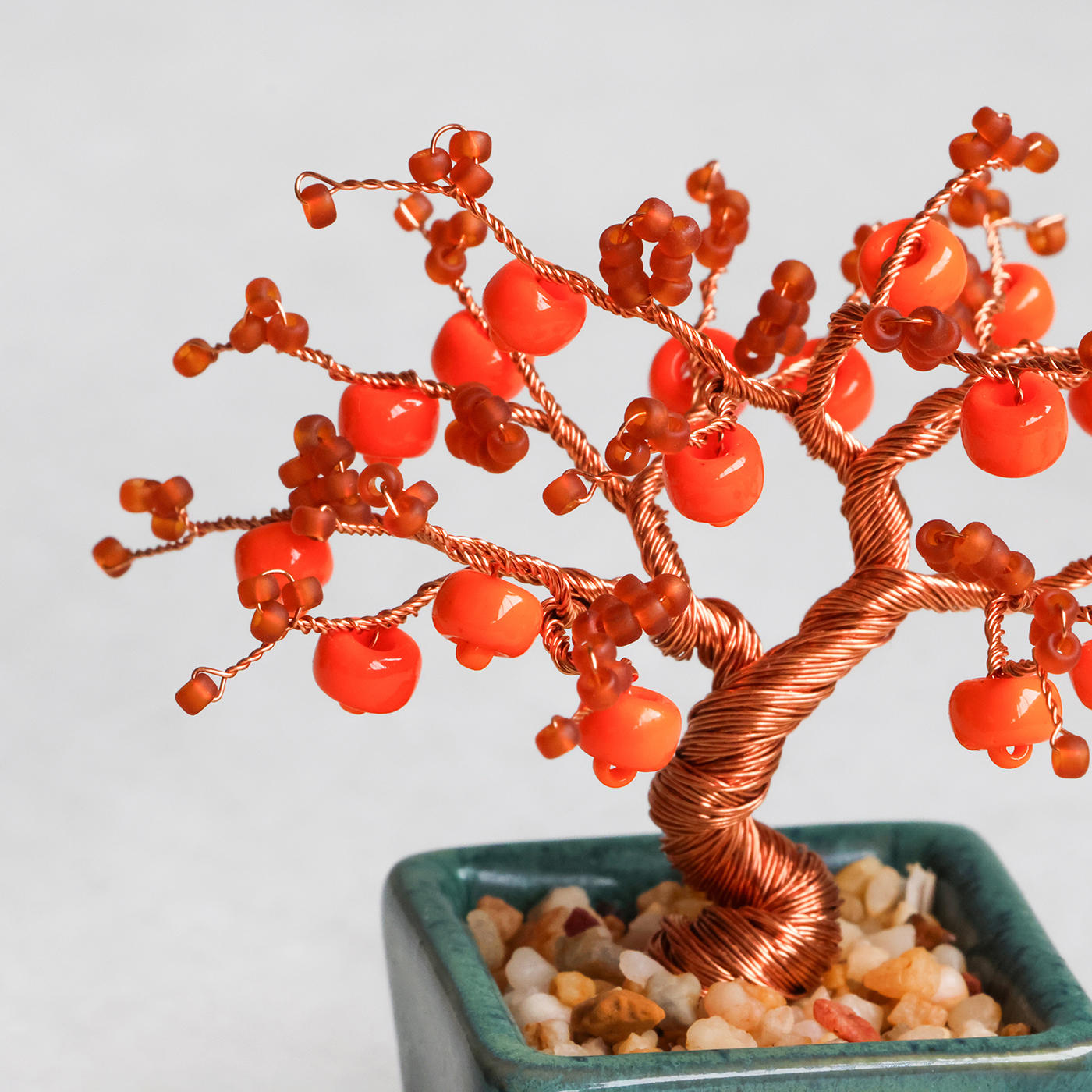 ネジッテBONSAIキット　柿