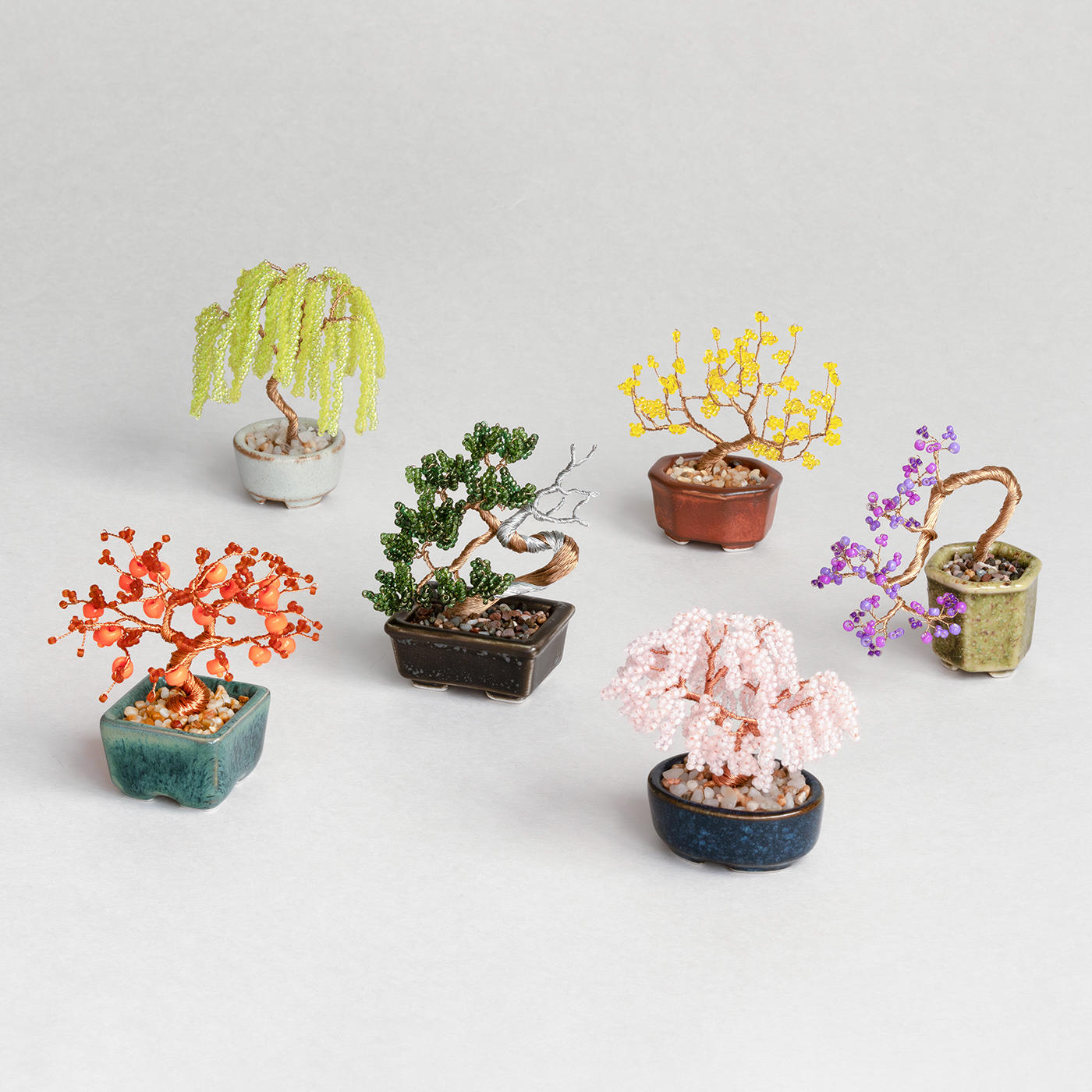 ネジッテBONSAIキット　柿