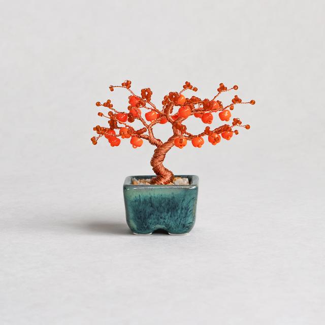 ネジッテBONSAIキット　柿