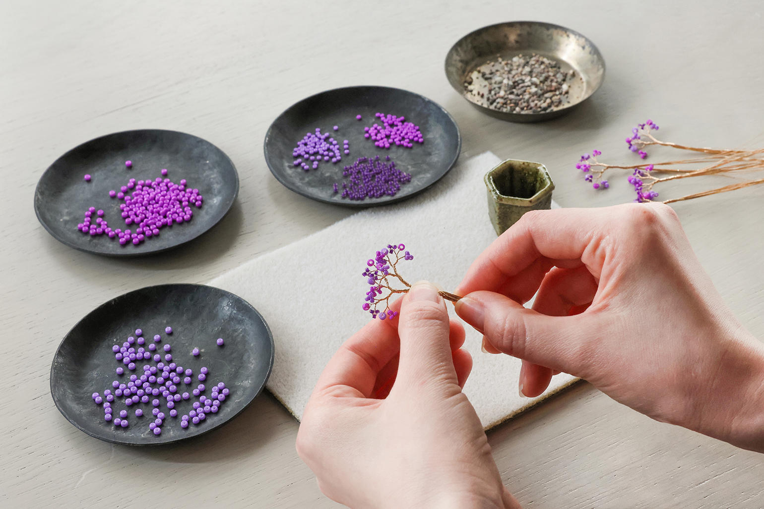 ネジッテBONSAIキット　紫式部