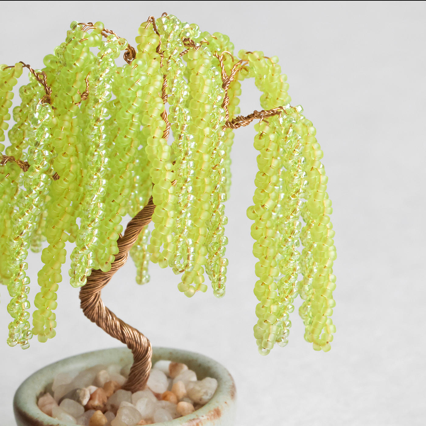 ネジッテBONSAIキット　柳