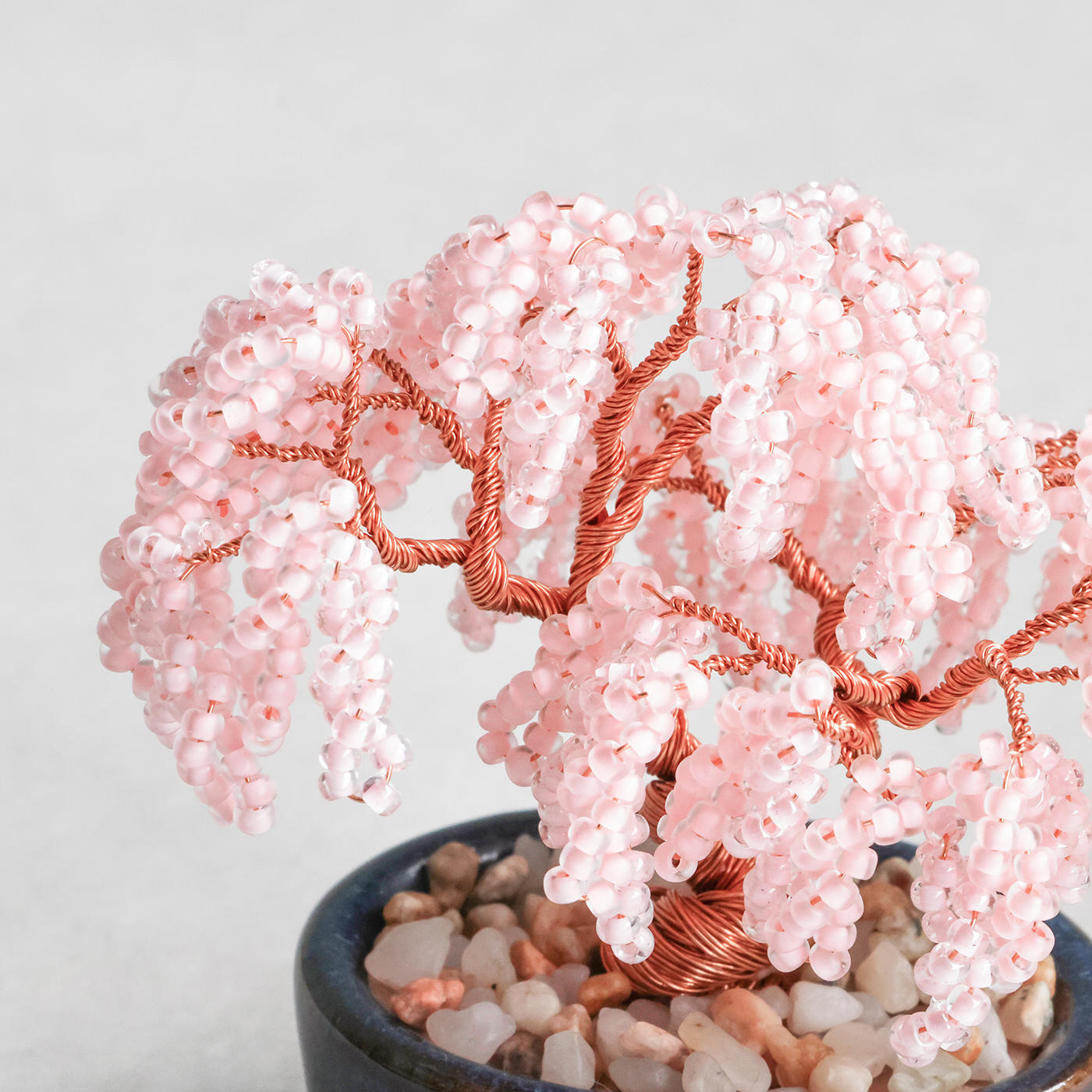 ネジッテBONSAIキット　枝垂桜