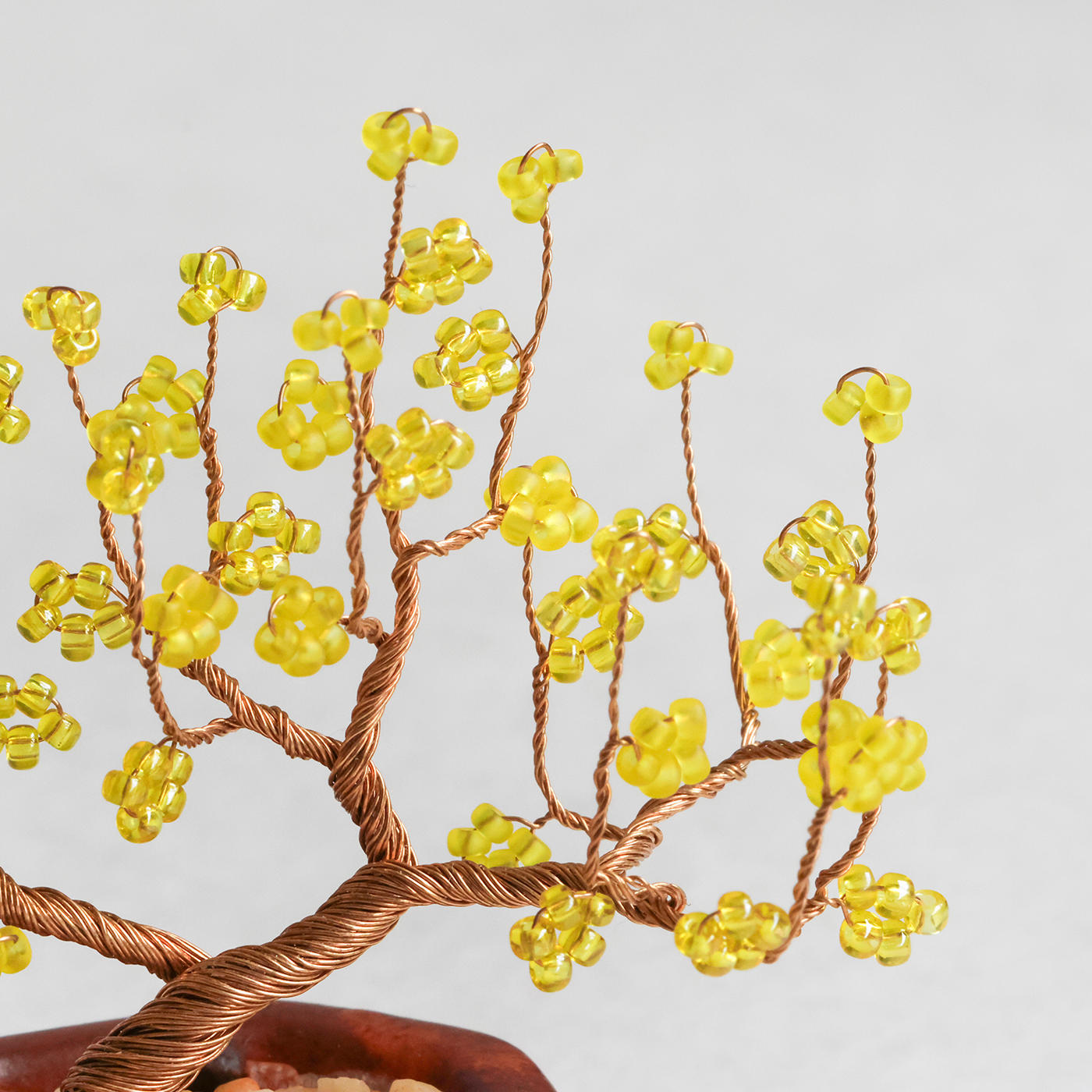 ネジッテBONSAIキット　蝋梅