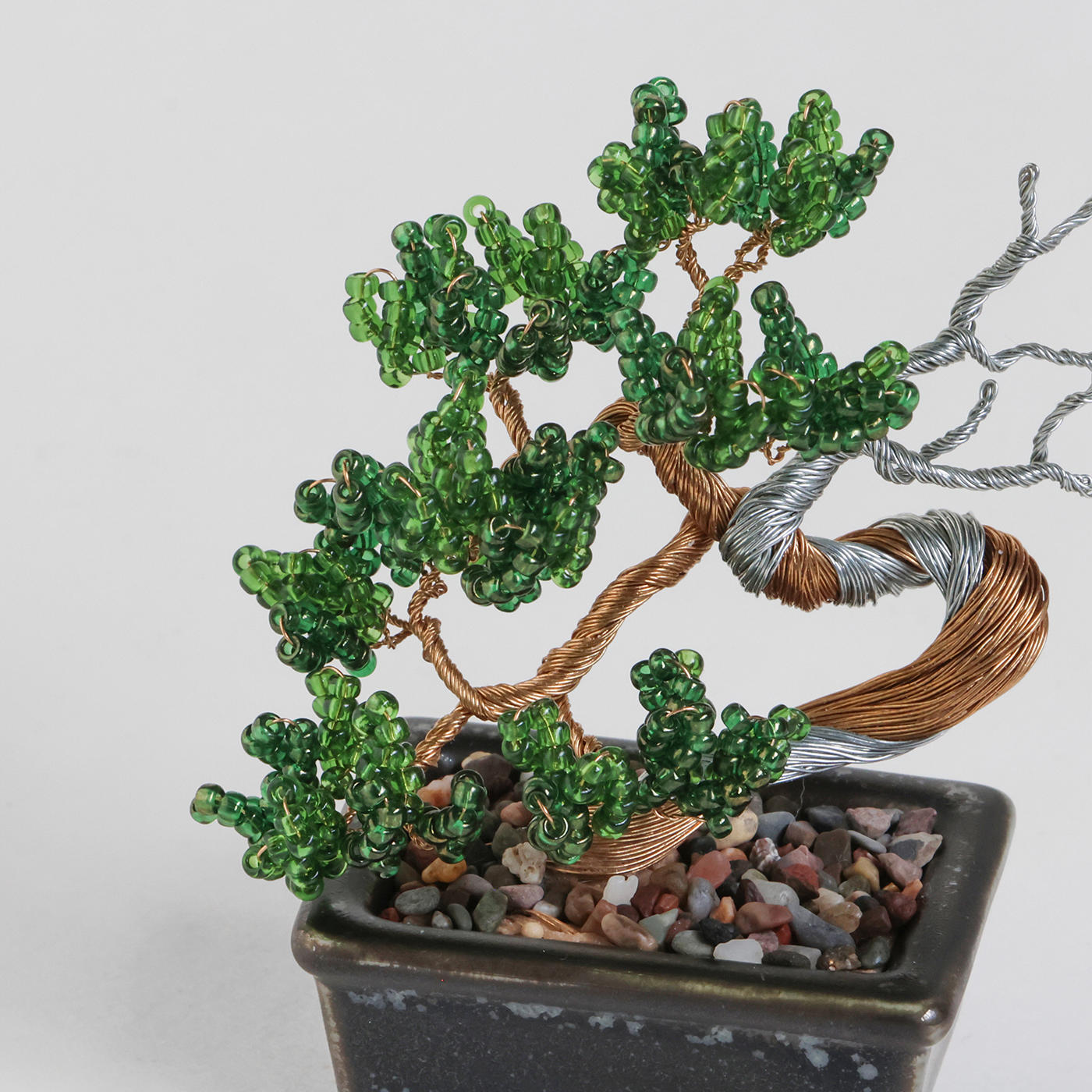 ネジッテBONSAIキット　真柏