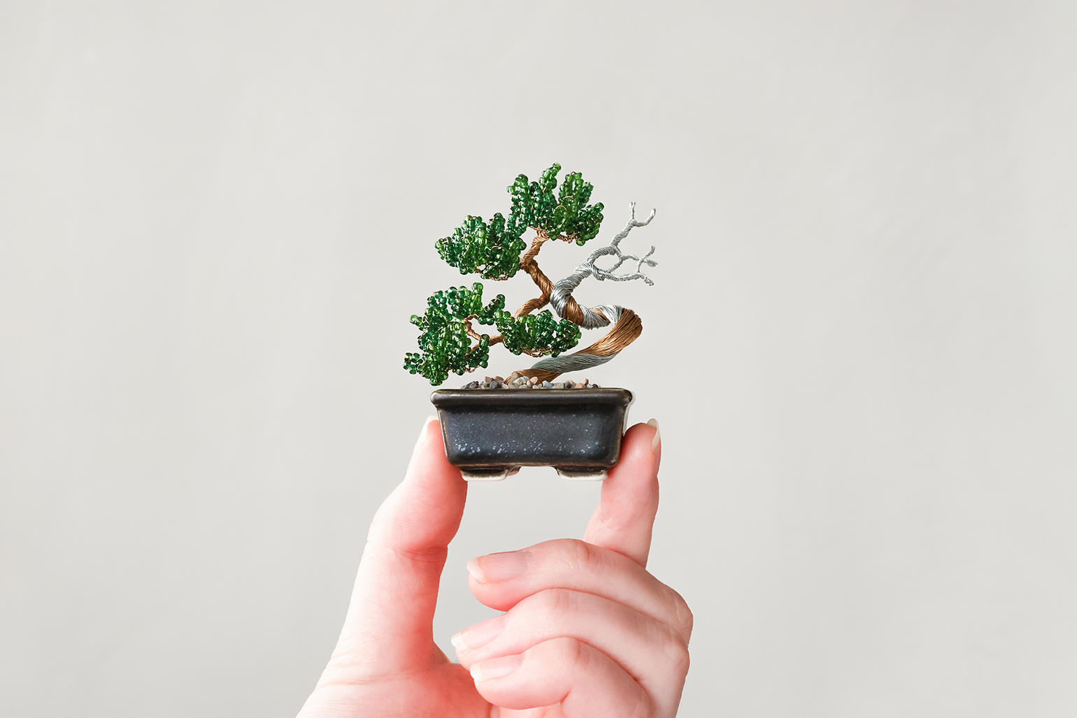 ネジッテBONSAIキット　真柏