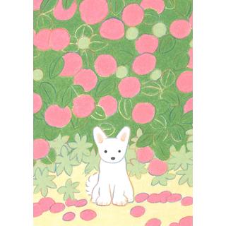 (受注) てらおかなつみのたくさんの犬展 ジークレー L_08 額付 直筆サイン入り