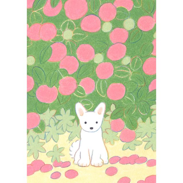 (受注) てらおかなつみのたくさんの犬展 ジークレー L_08 額付 直筆サイン入り