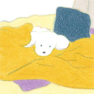 (受注) てらおかなつみのたくさんの犬展 ジークレー S_02 額付 直筆サイン入り