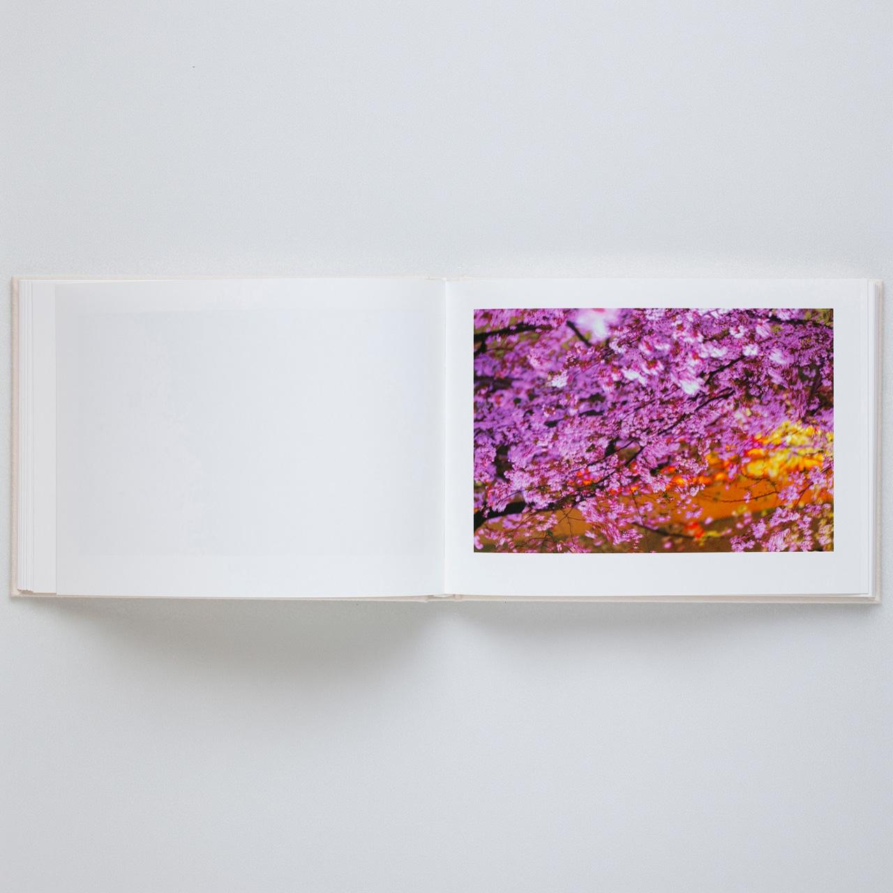 【表紙の選択可】VIRA by 蜷川実花（Mika Ninagawa） 写真集