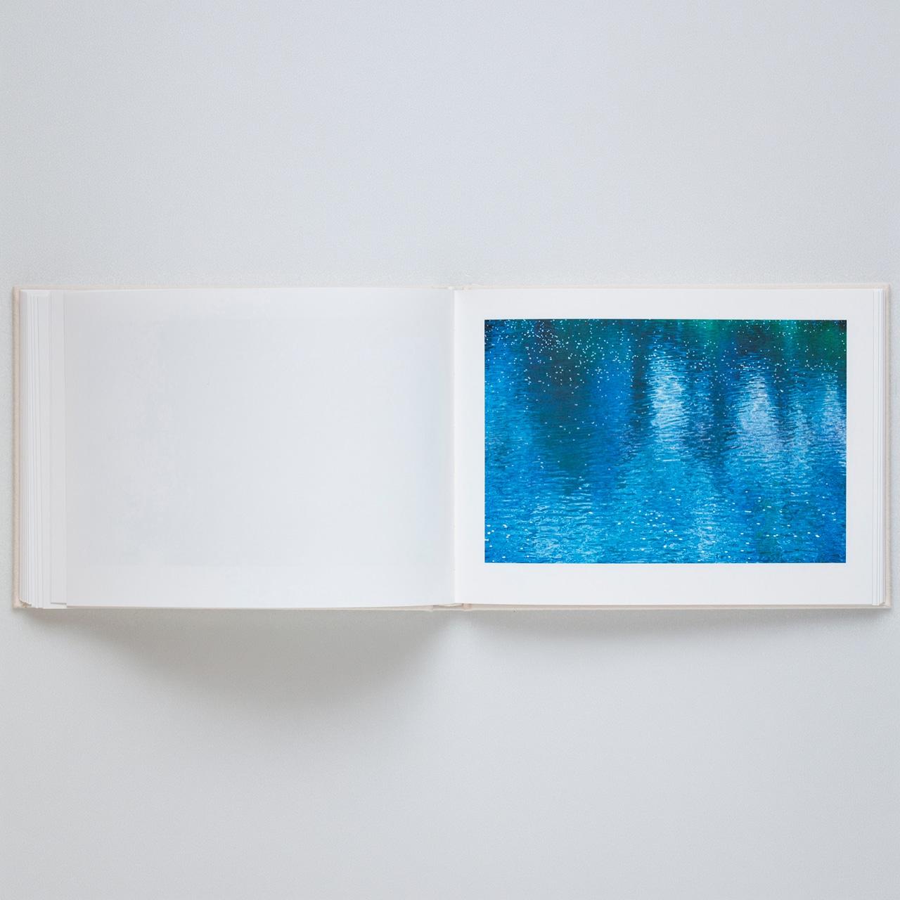 【表紙の選択可】VIRA by 蜷川実花（Mika Ninagawa） 写真集