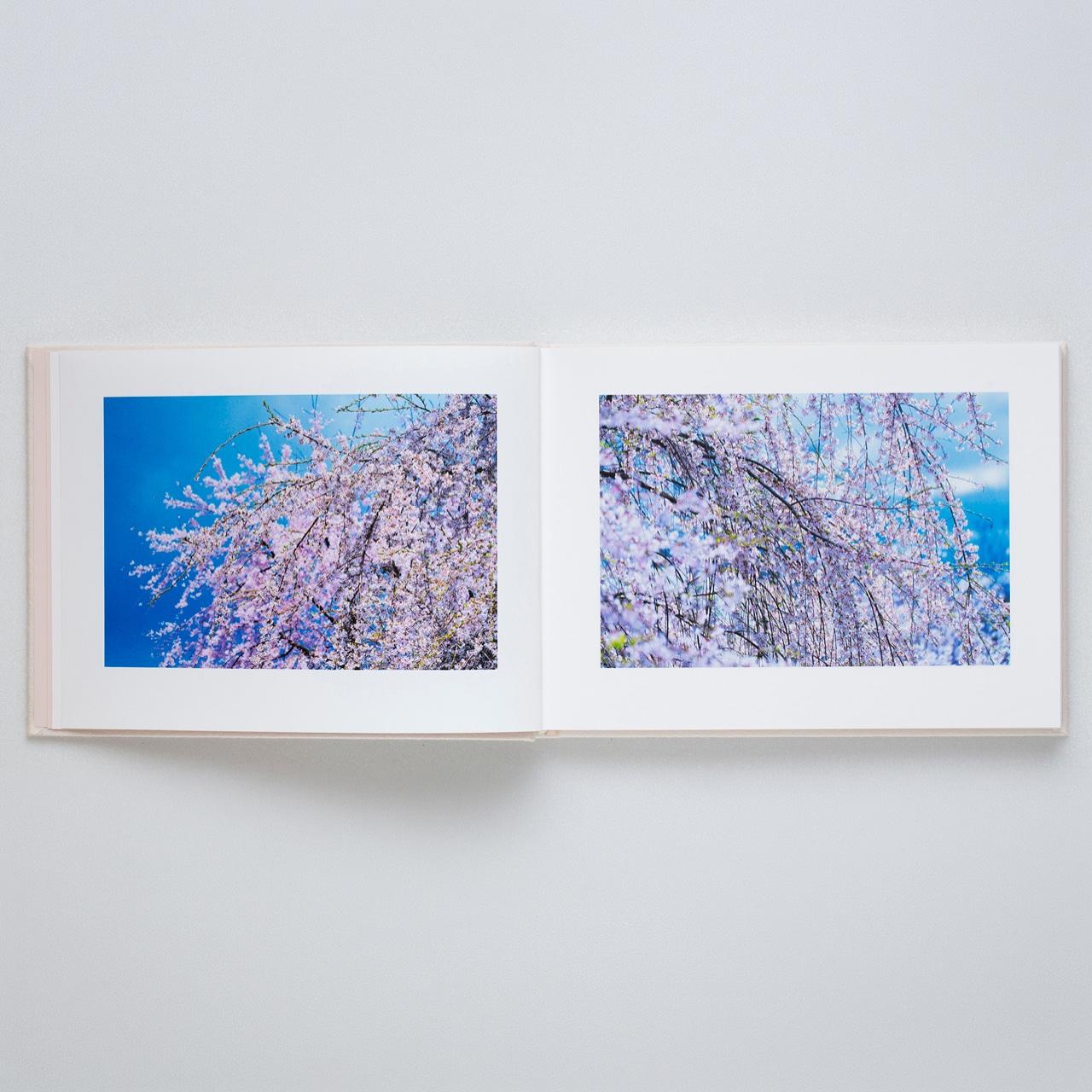 【表紙の選択可】VIRA by 蜷川実花（Mika Ninagawa） 写真集