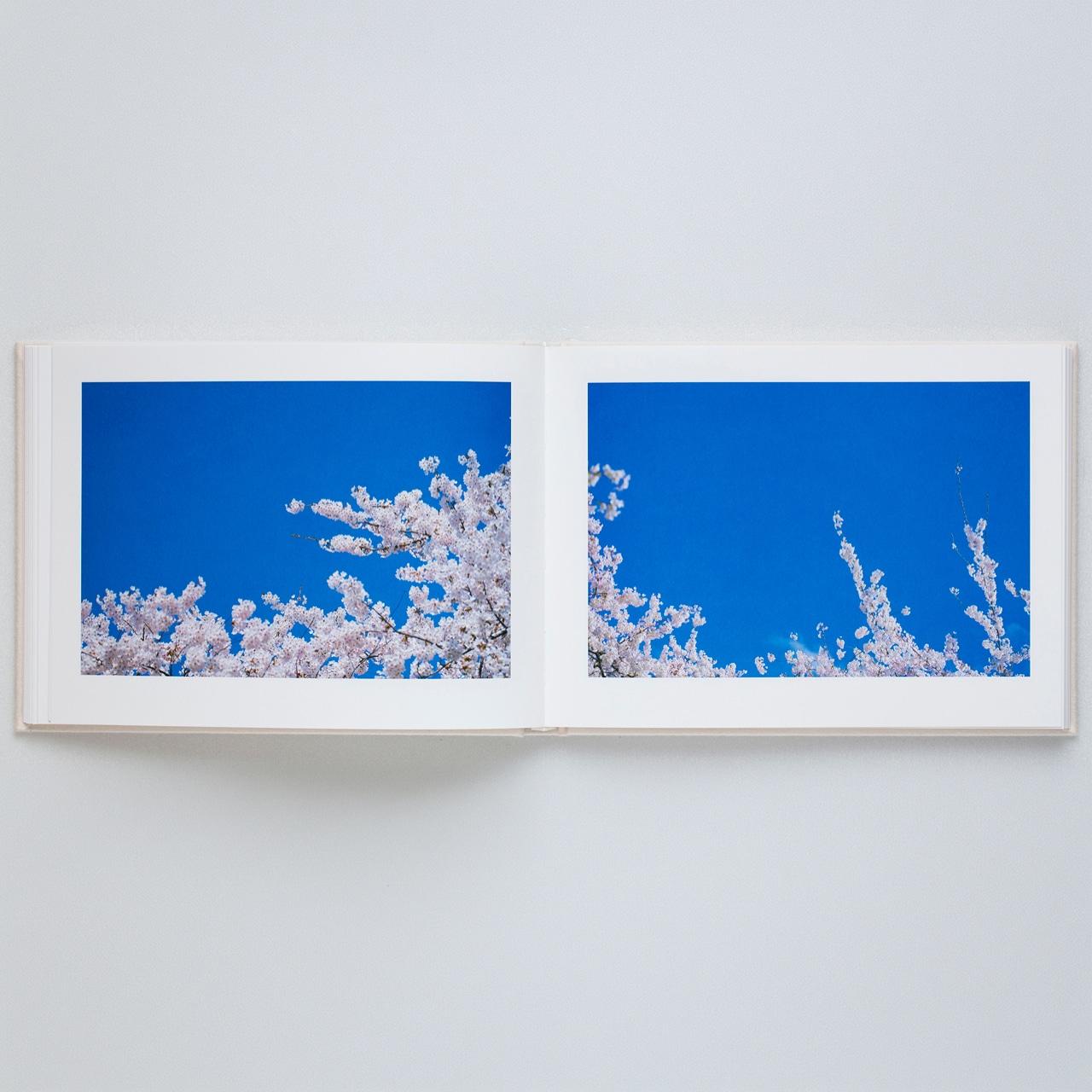 【表紙の選択可】VIRA by 蜷川実花（Mika Ninagawa） 写真集