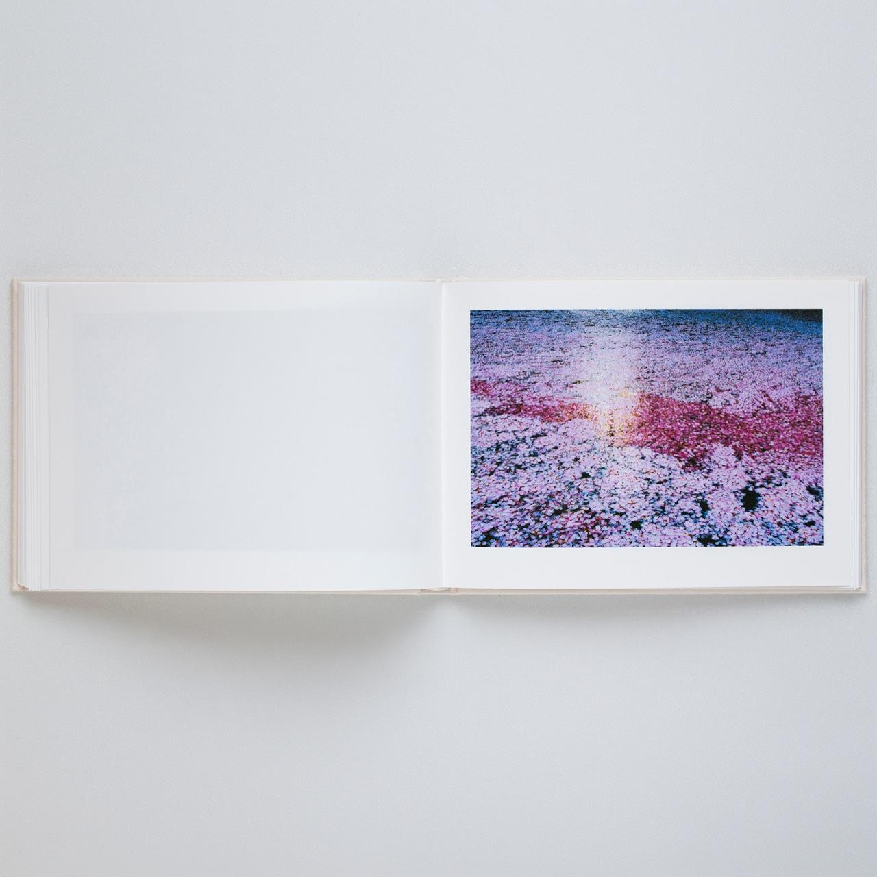 【表紙の選択可】VIRA by 蜷川実花（Mika Ninagawa） 写真集