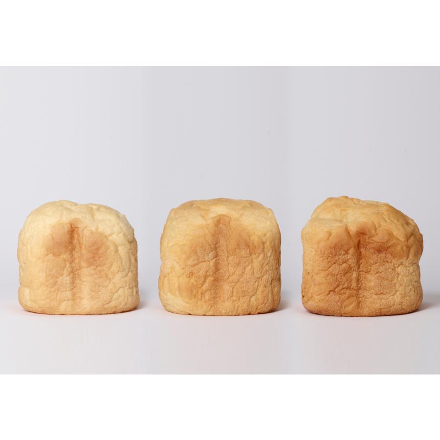 siroca(シロカ) おうちベーカリーベーシック SB-1D271