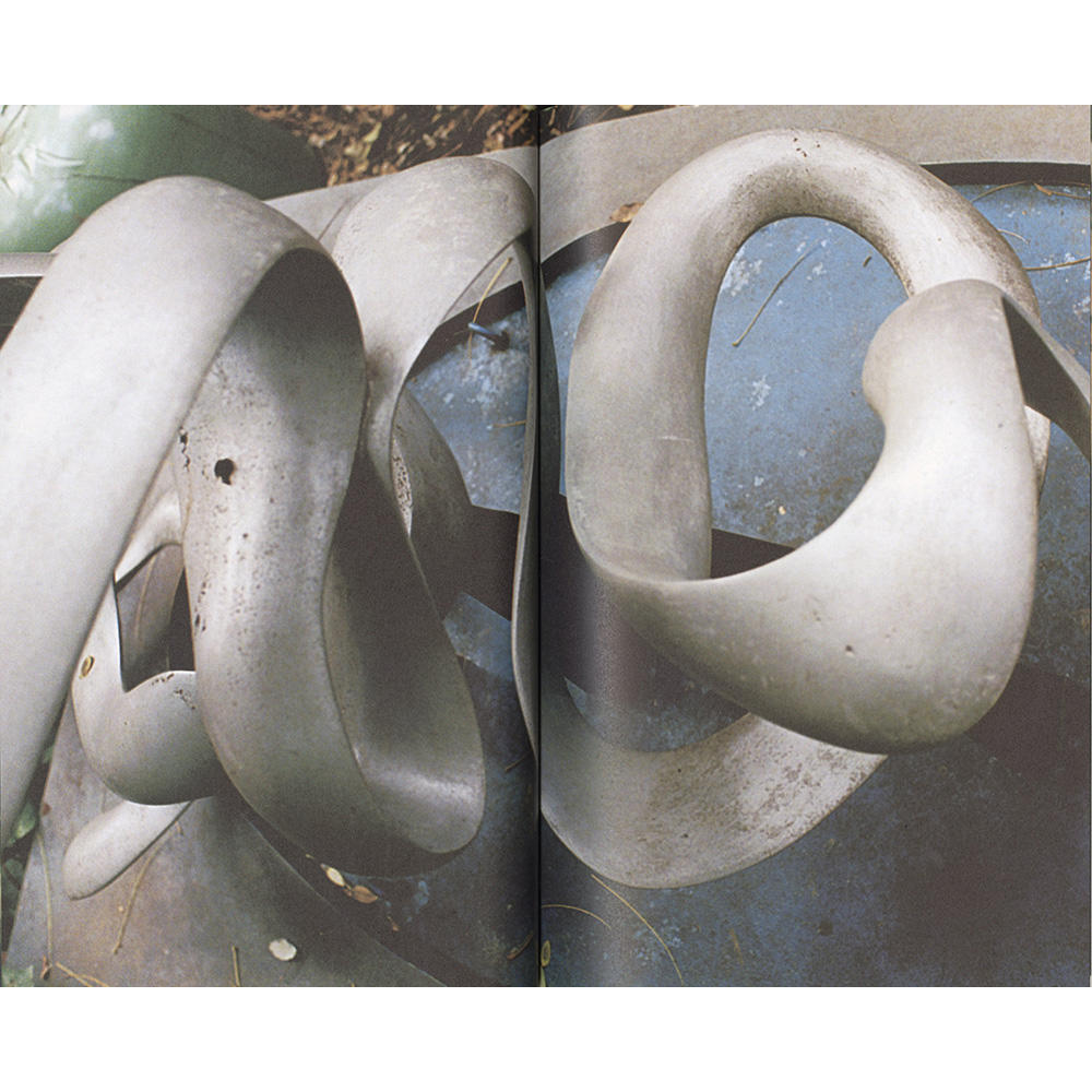  【サイン入り】『雷写』 佐内正史 写真集