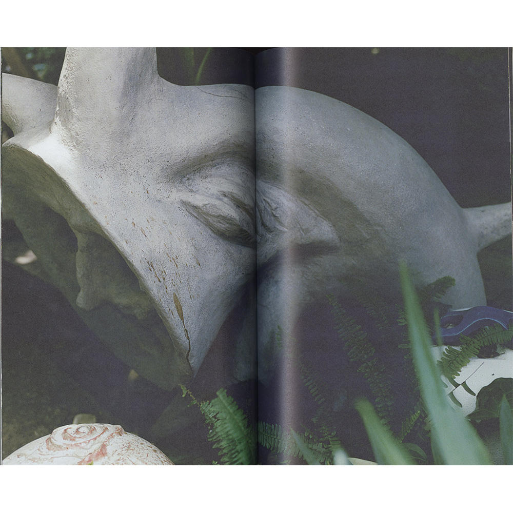  【サイン入り】『雷写』 佐内正史 写真集