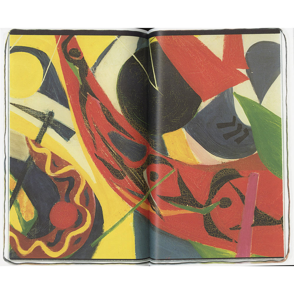  【サイン入り】『雷写』 佐内正史 写真集