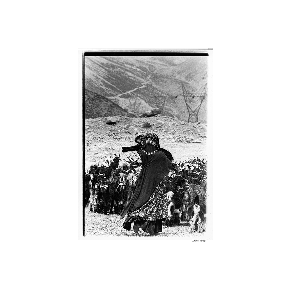 『Threads of Beauty 1995-2025 ―時をまとい、風をまとう。』 高木由利子 写真集