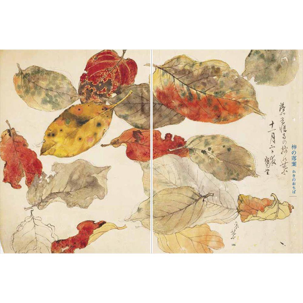 人間国宝 三代　田畑喜八の草花図