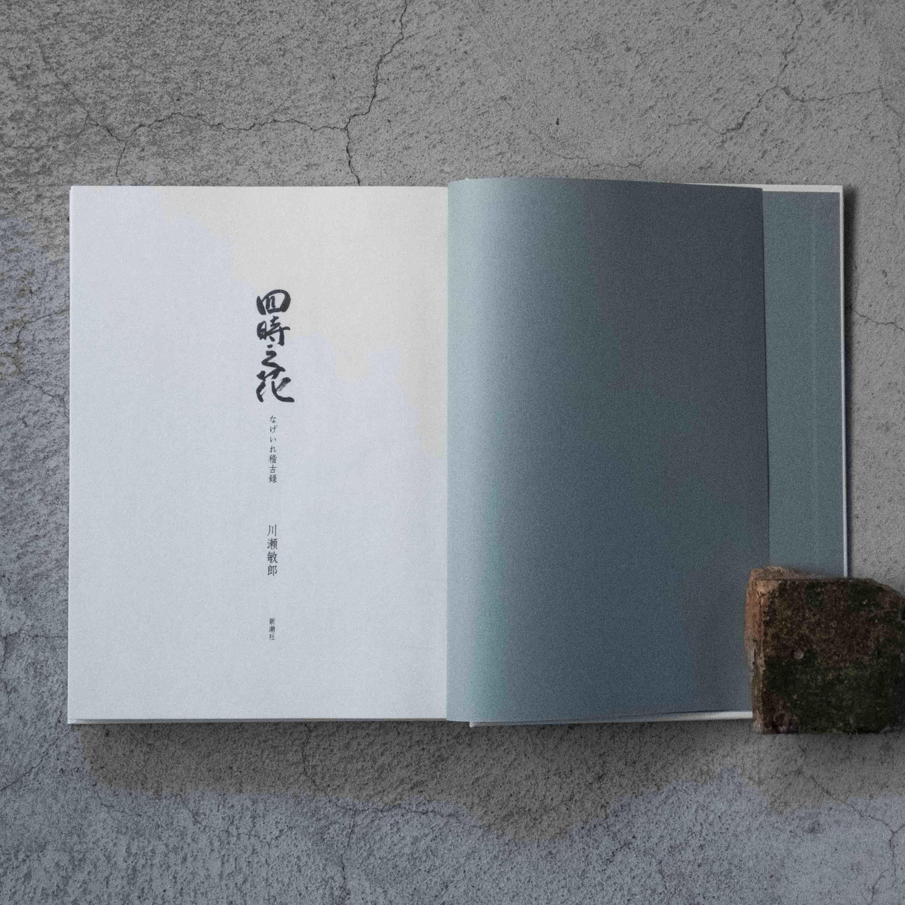 四時之花─なげいれ稽古録