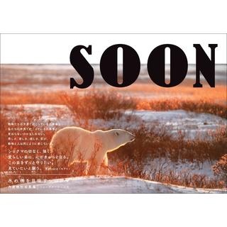 SOON 氷の橋を目指すシロクマ 丹葉暁弥