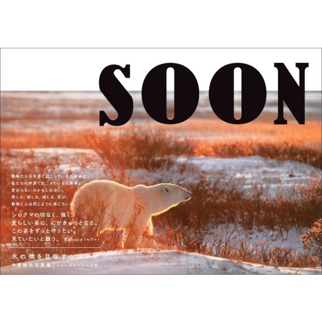 SOON 氷の橋を目指すシロクマ 丹葉暁弥