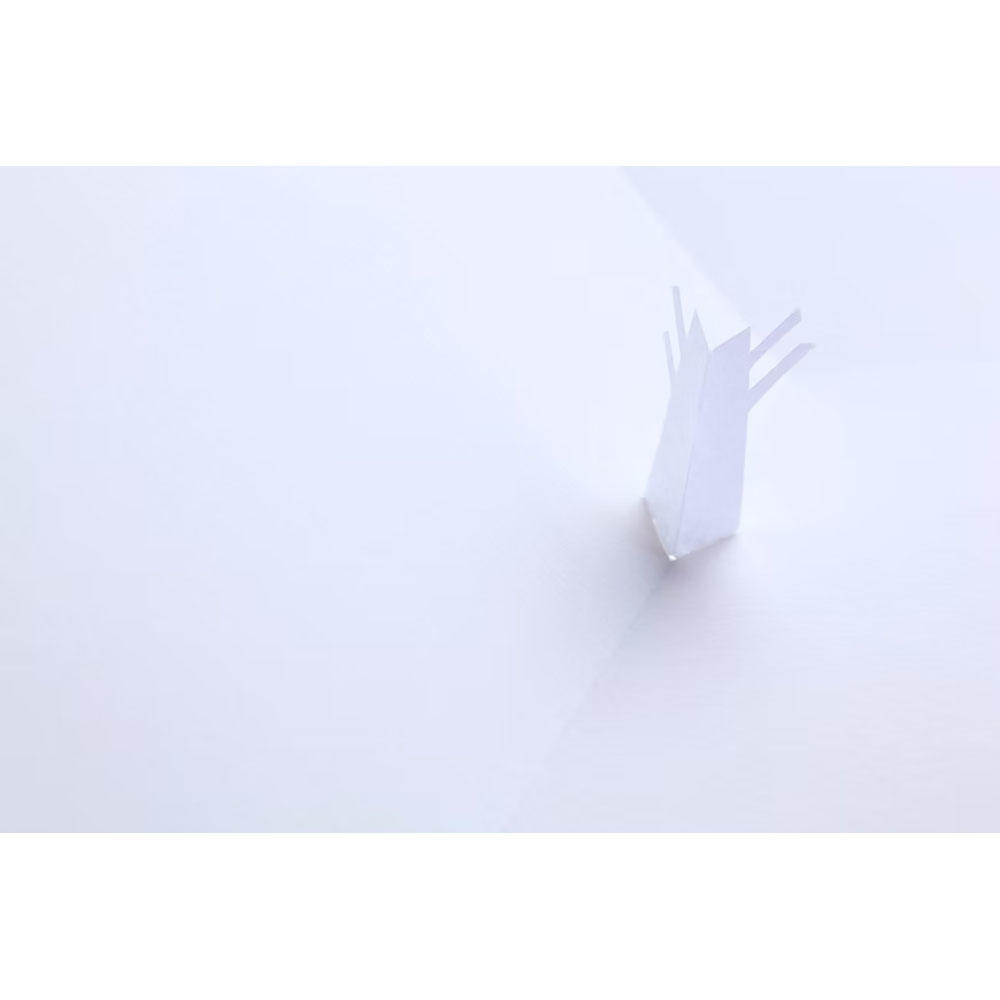 ポップアップ絵本『Little tree』 駒形克己