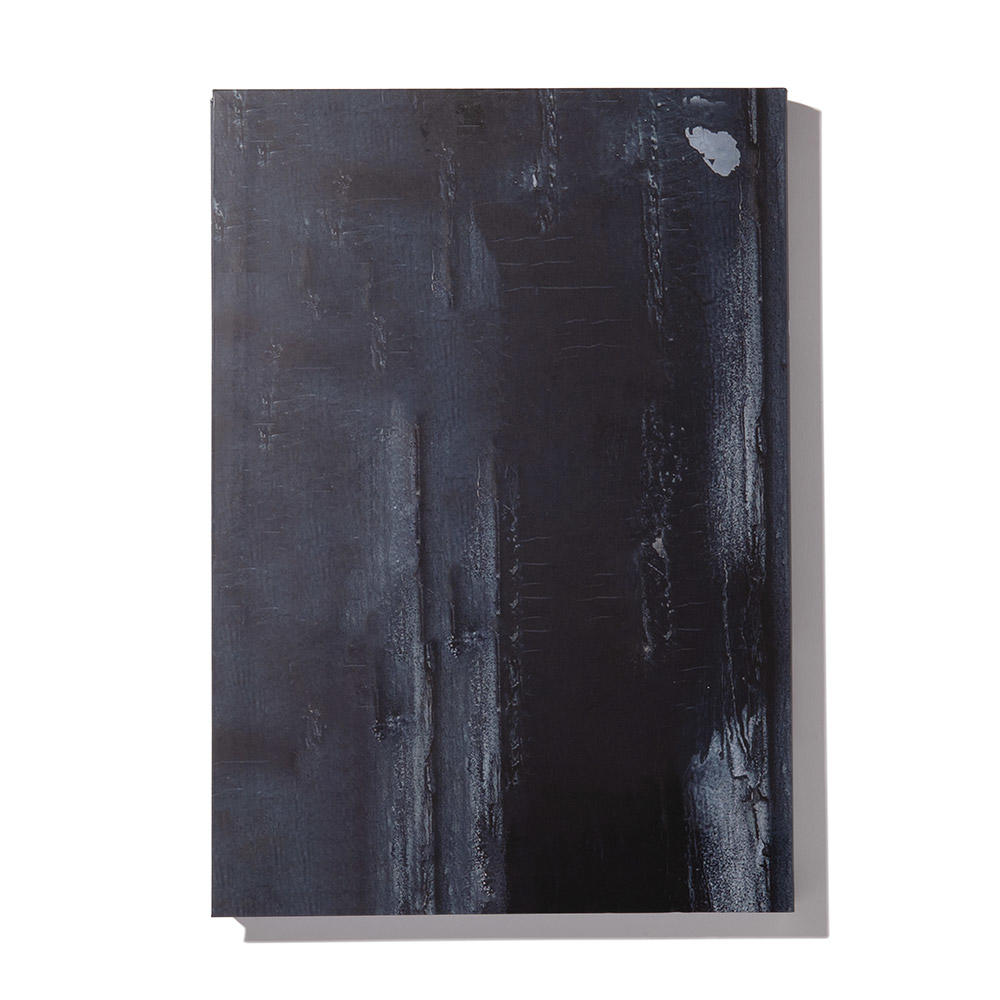 【1000部限定】Front DOOR by Curtis Kulig（カーティス・クリグ） 写真集