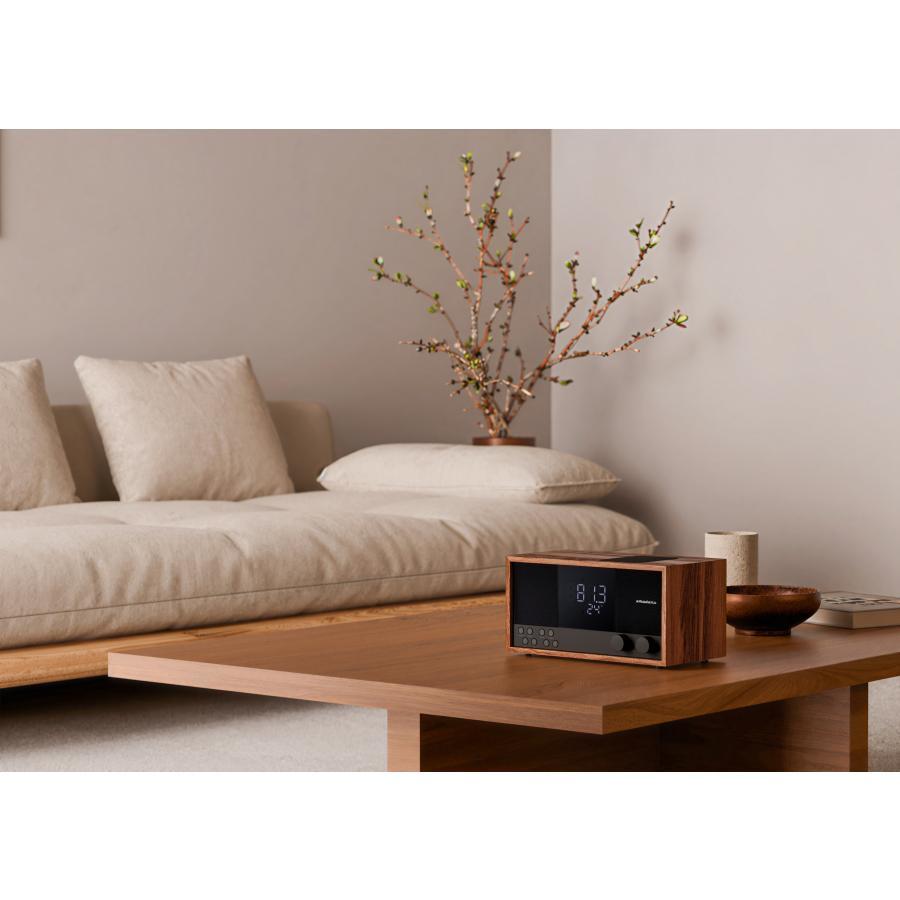 amadana（アマダナ） ワイヤレスFMクロックラジオ RC20